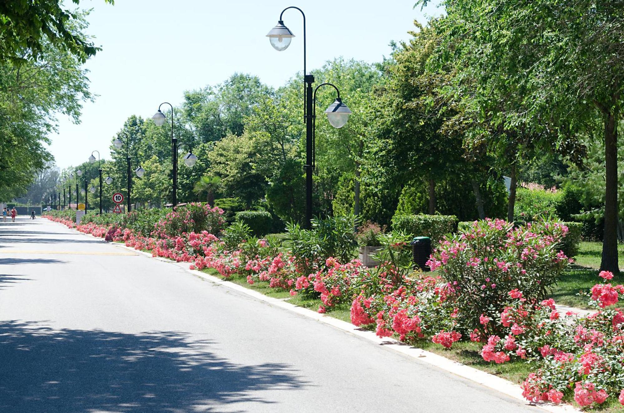 דונה ורדה Villaggio San Francesco - Adria Holiday Mobile Homes מראה חיצוני תמונה